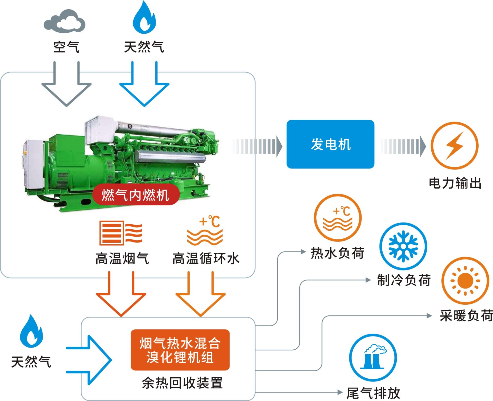 威尼斯正规官网