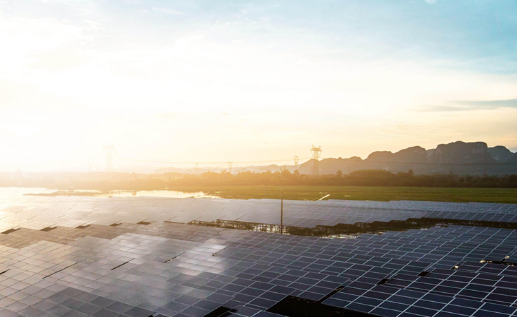 威尼斯正规官网