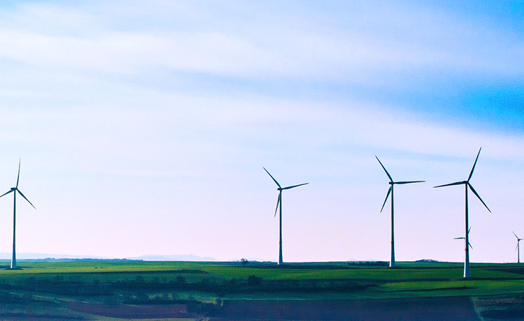 威尼斯正规官网